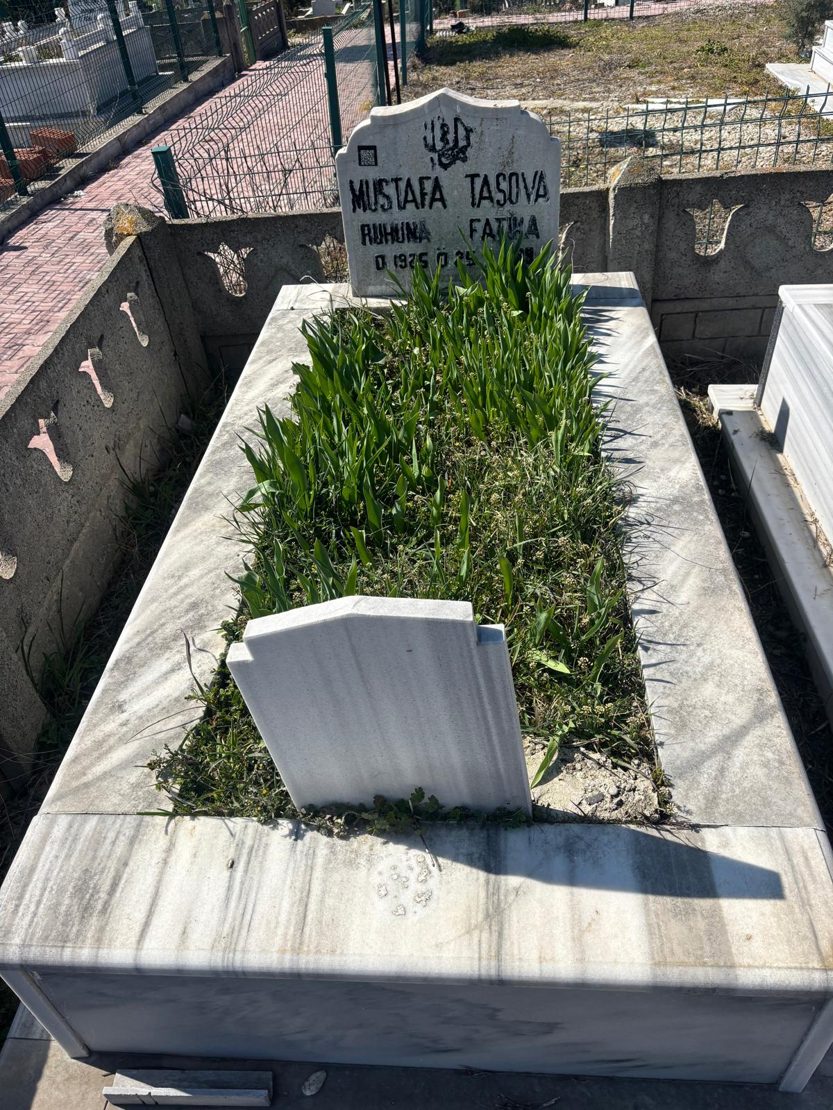 MUSTAFA TAŞOVA