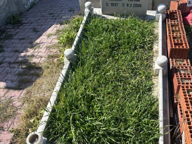 MAHMUT CEYLAN