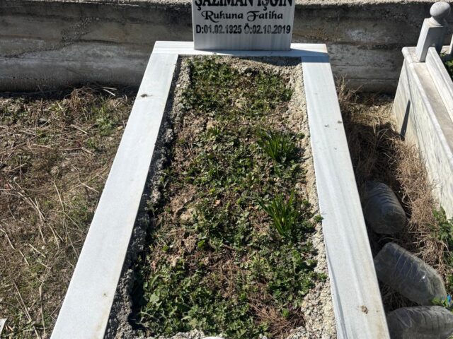 ŞAZIMAN İŞGİN