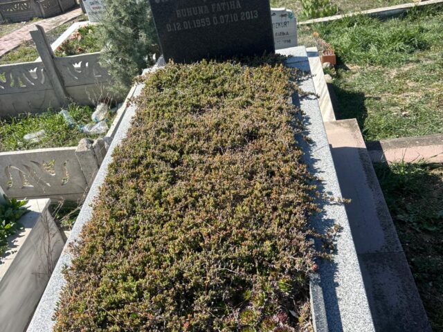 SATILMIŞ ARABACI
