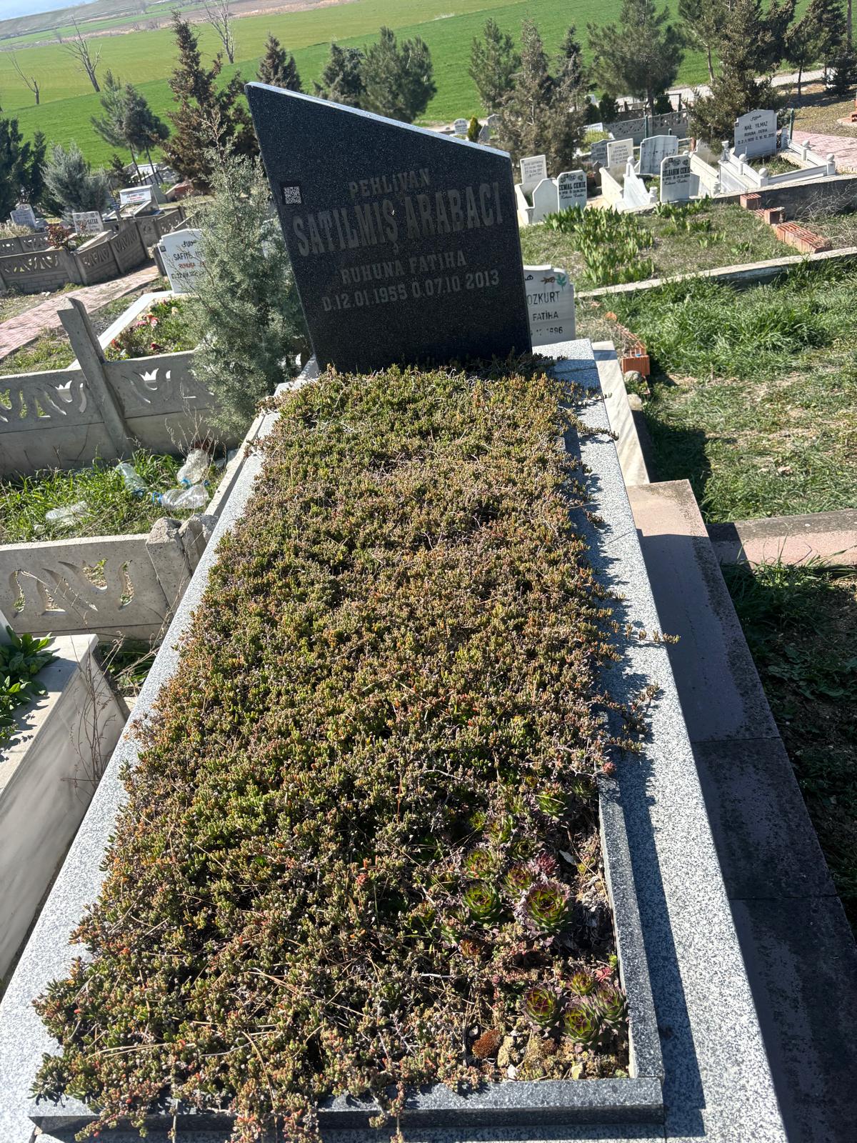 SATILMIŞ ARABACI