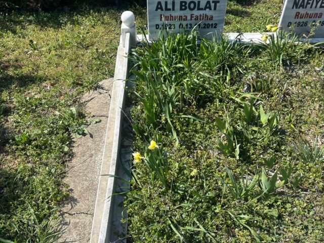 ALİ BOLAT