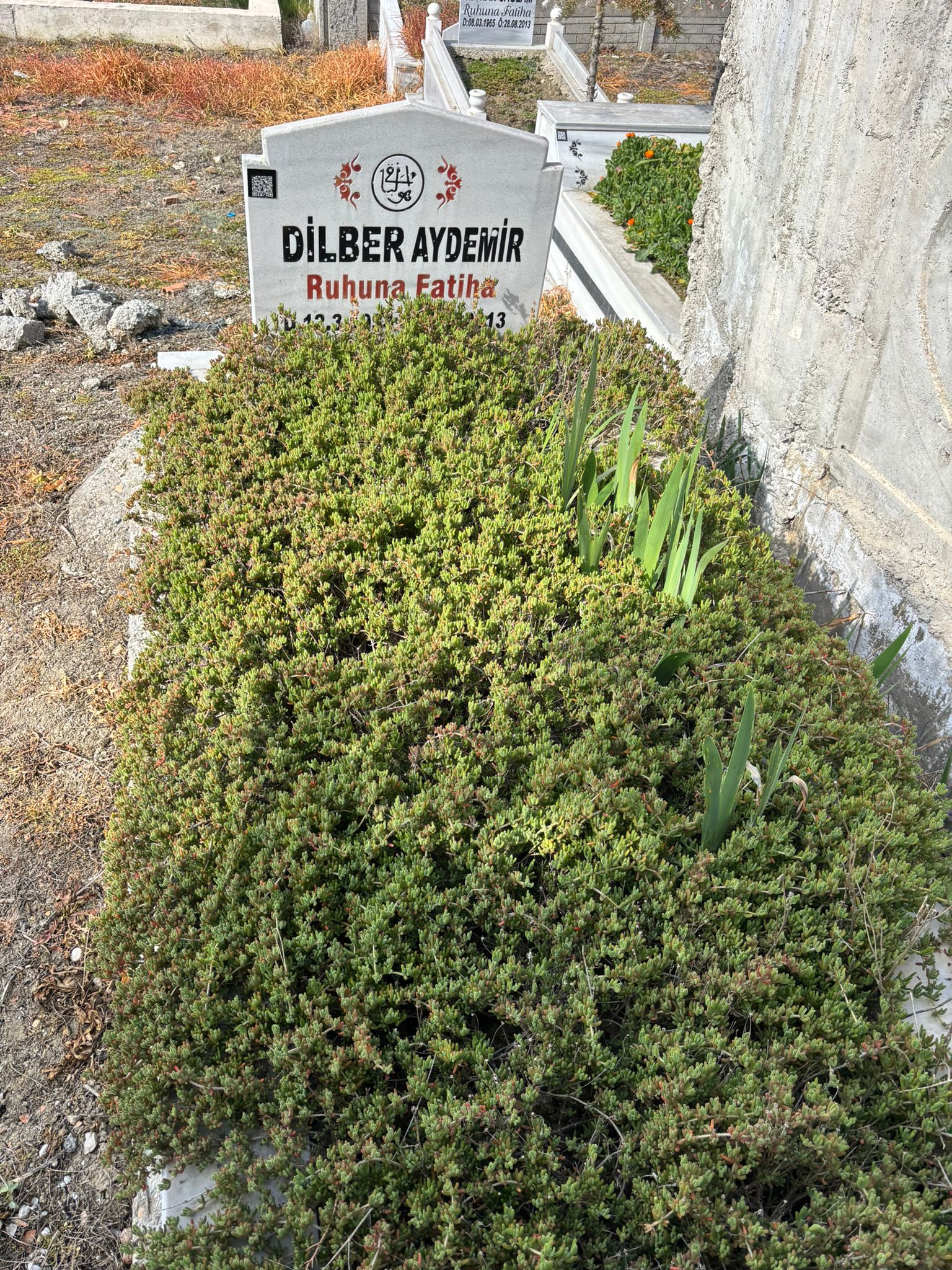 DİLBER AYDEMİR