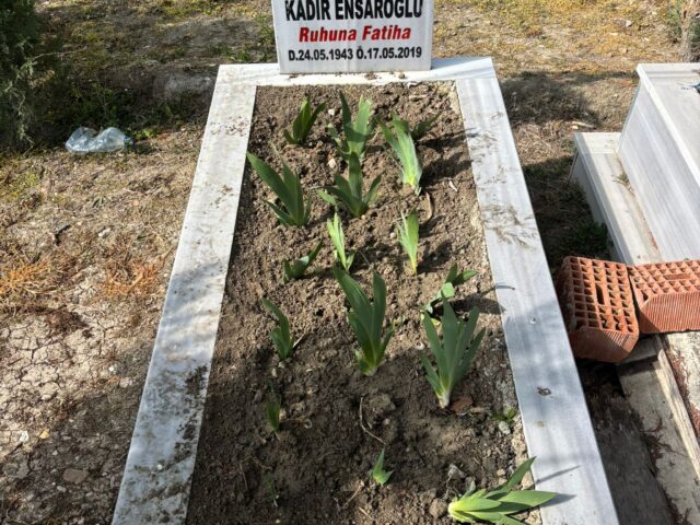 KADİR ENSAROĞLU