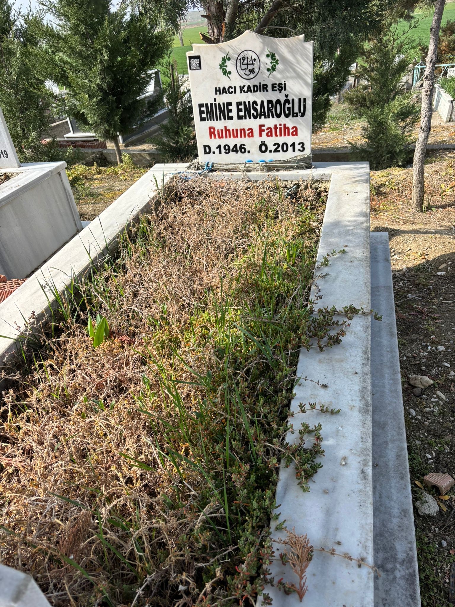 CEMİLE ENSAROĞLU