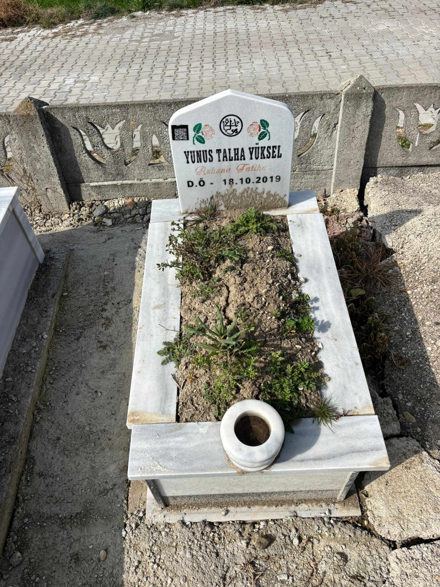 YUNUS TALHA YÜKSEL