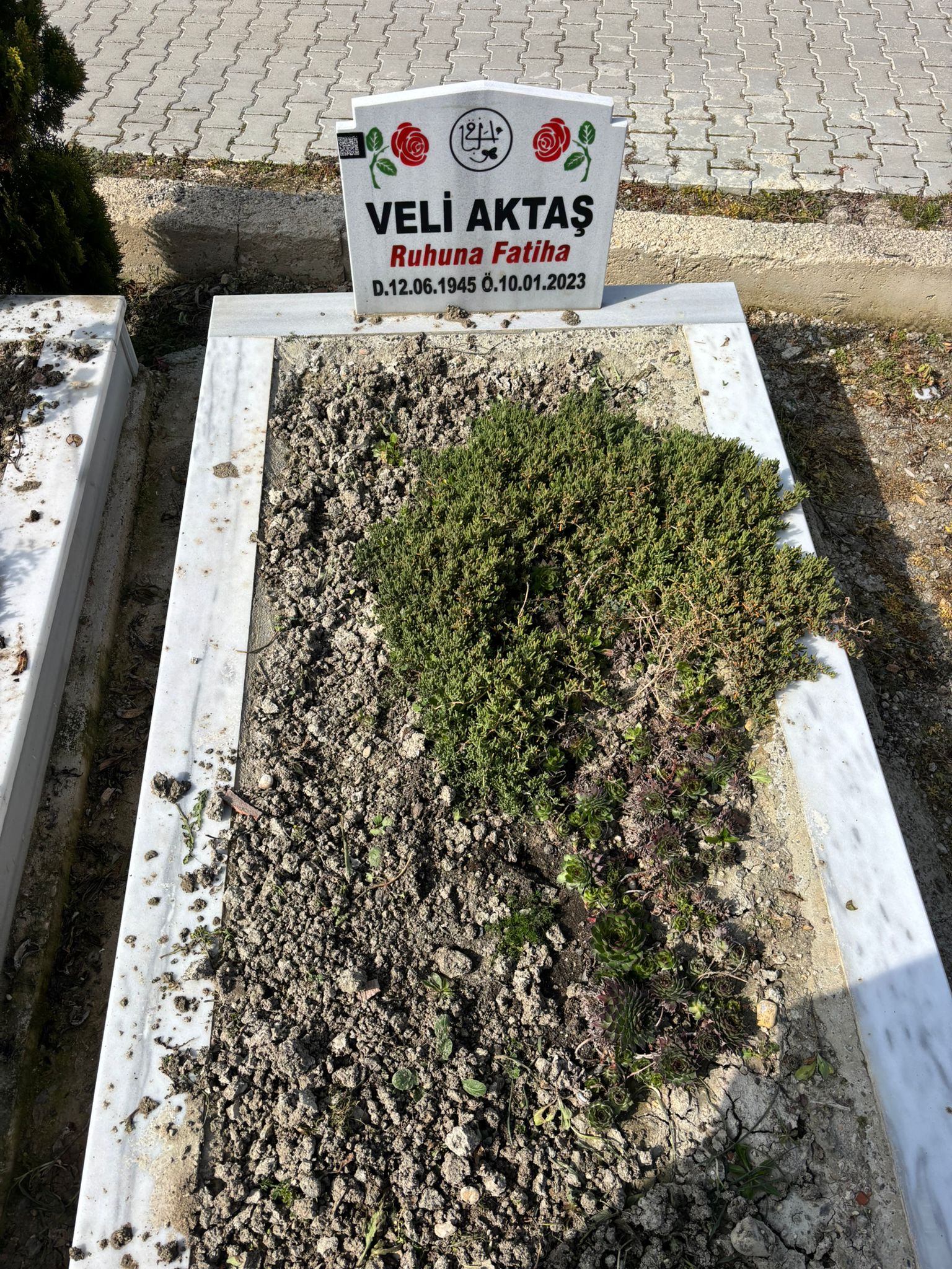 VELİ AKTAŞ