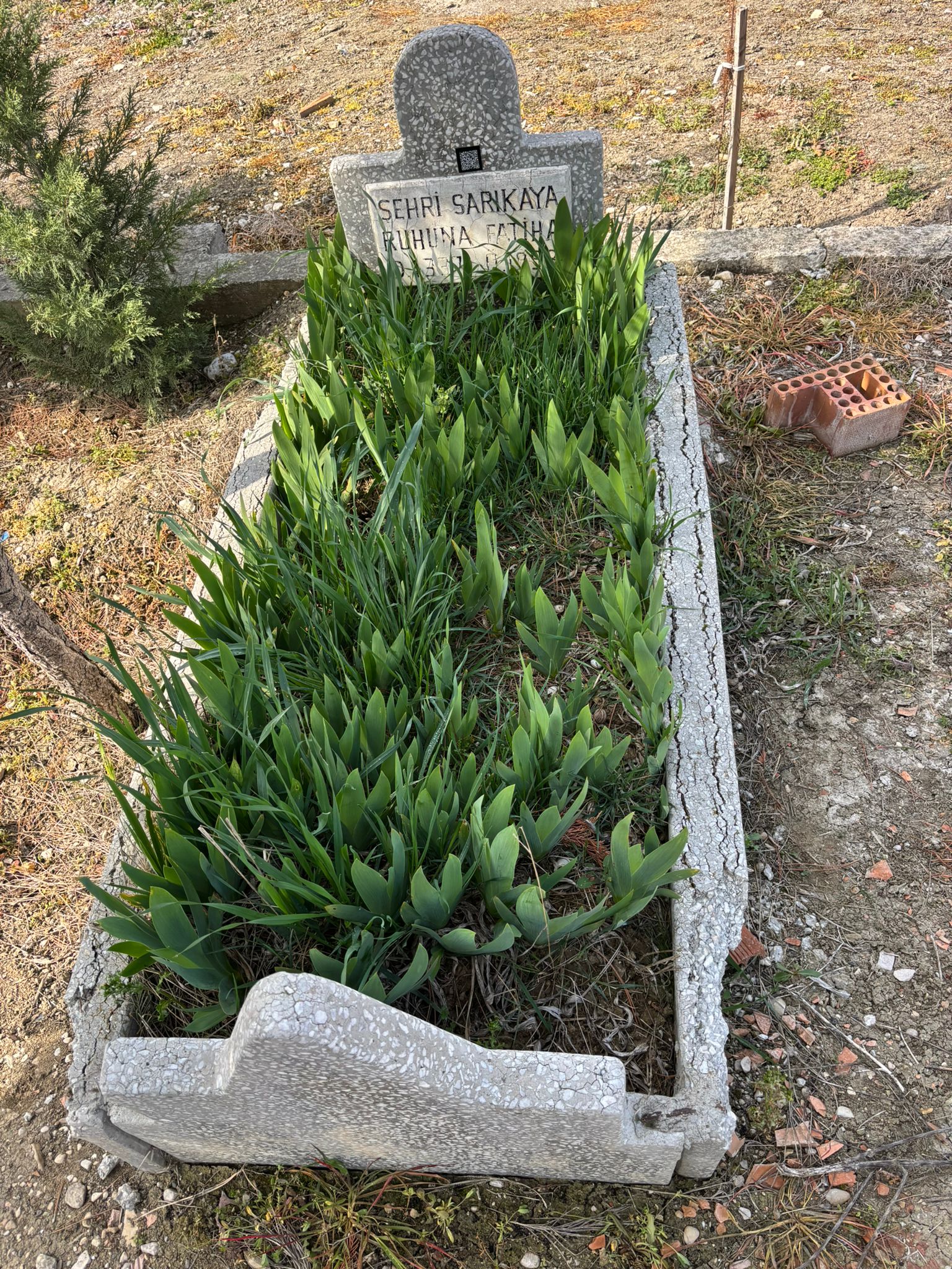 ŞEHRİ SARIKAYA