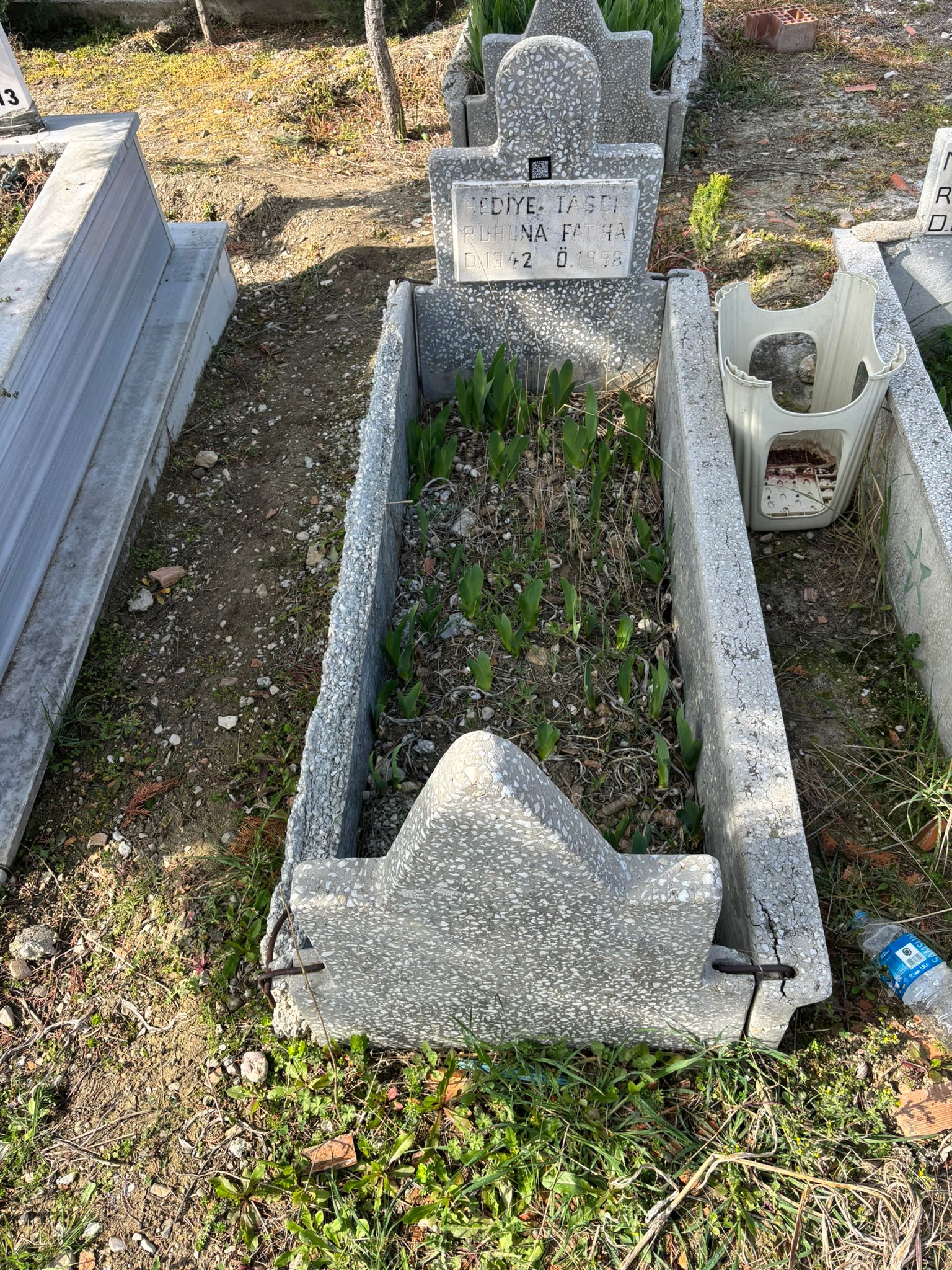 HEDİYE TAŞCI