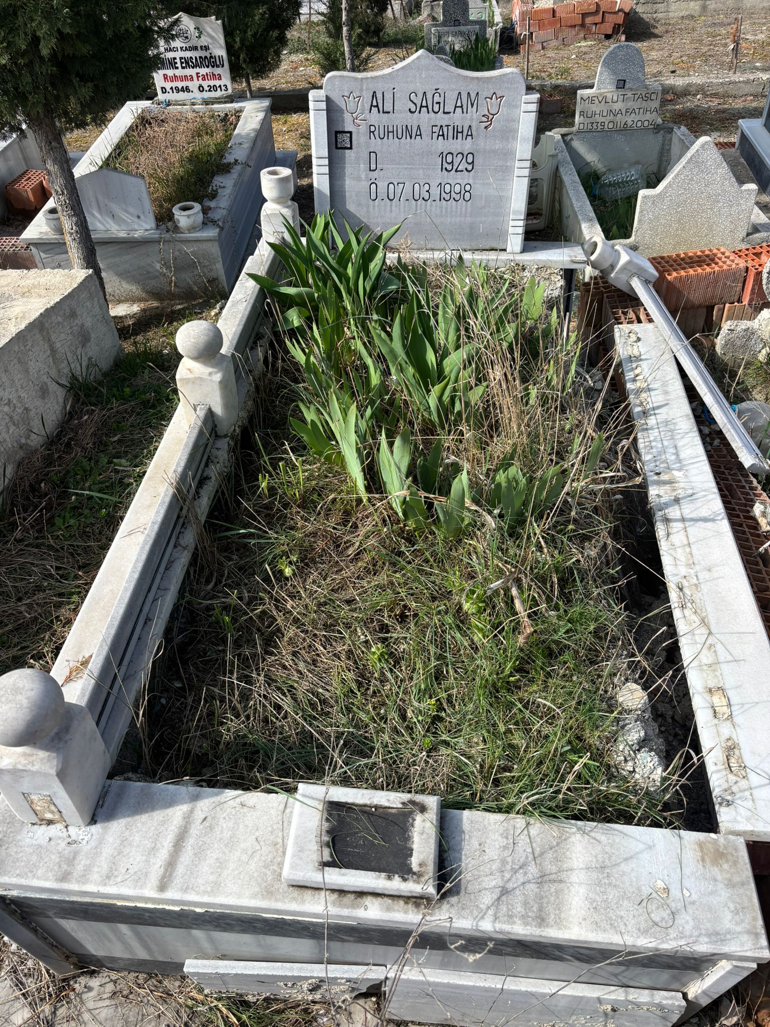 ALİ SAĞLAM