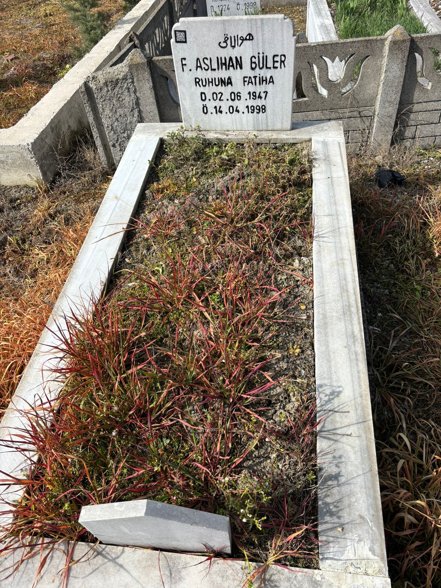 F. ASLIHAN GÜLER