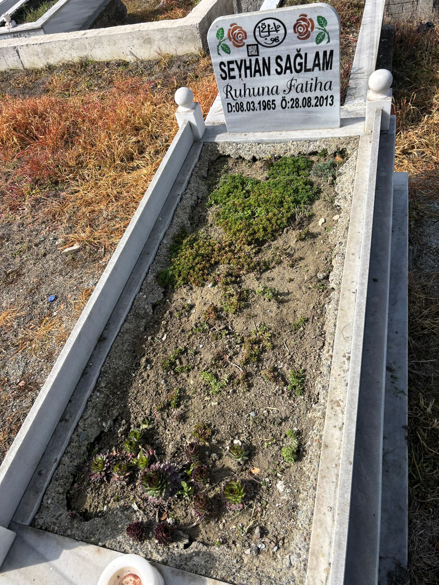 SEYHAN SAĞLAM