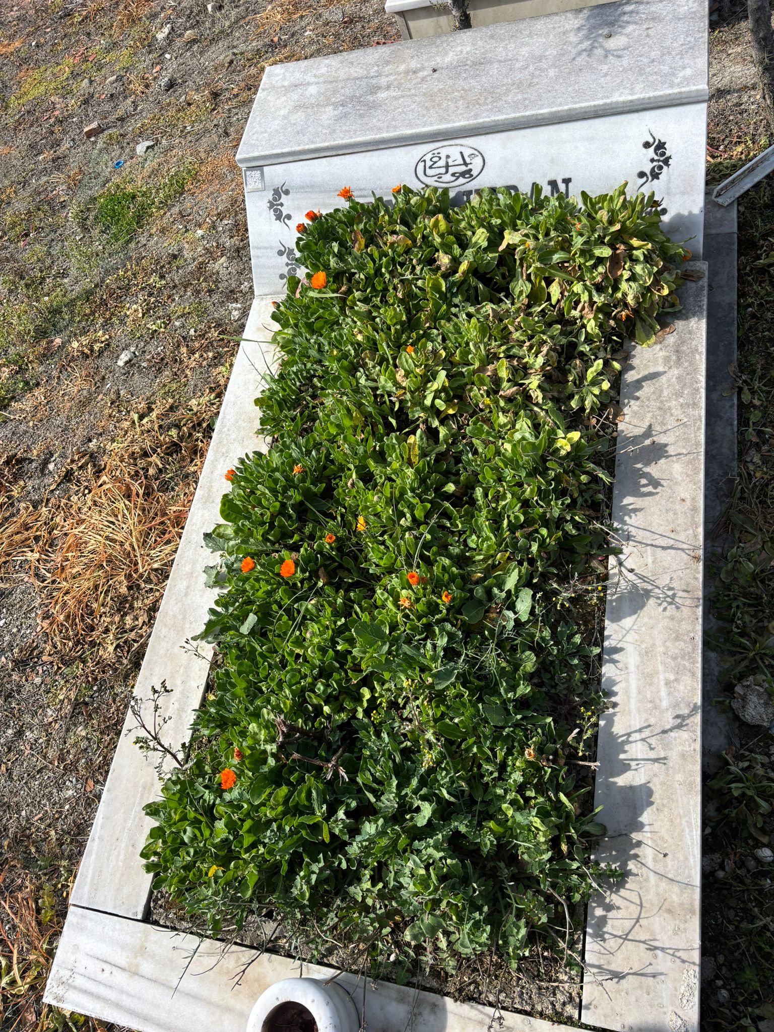 AYNUR KIRAN