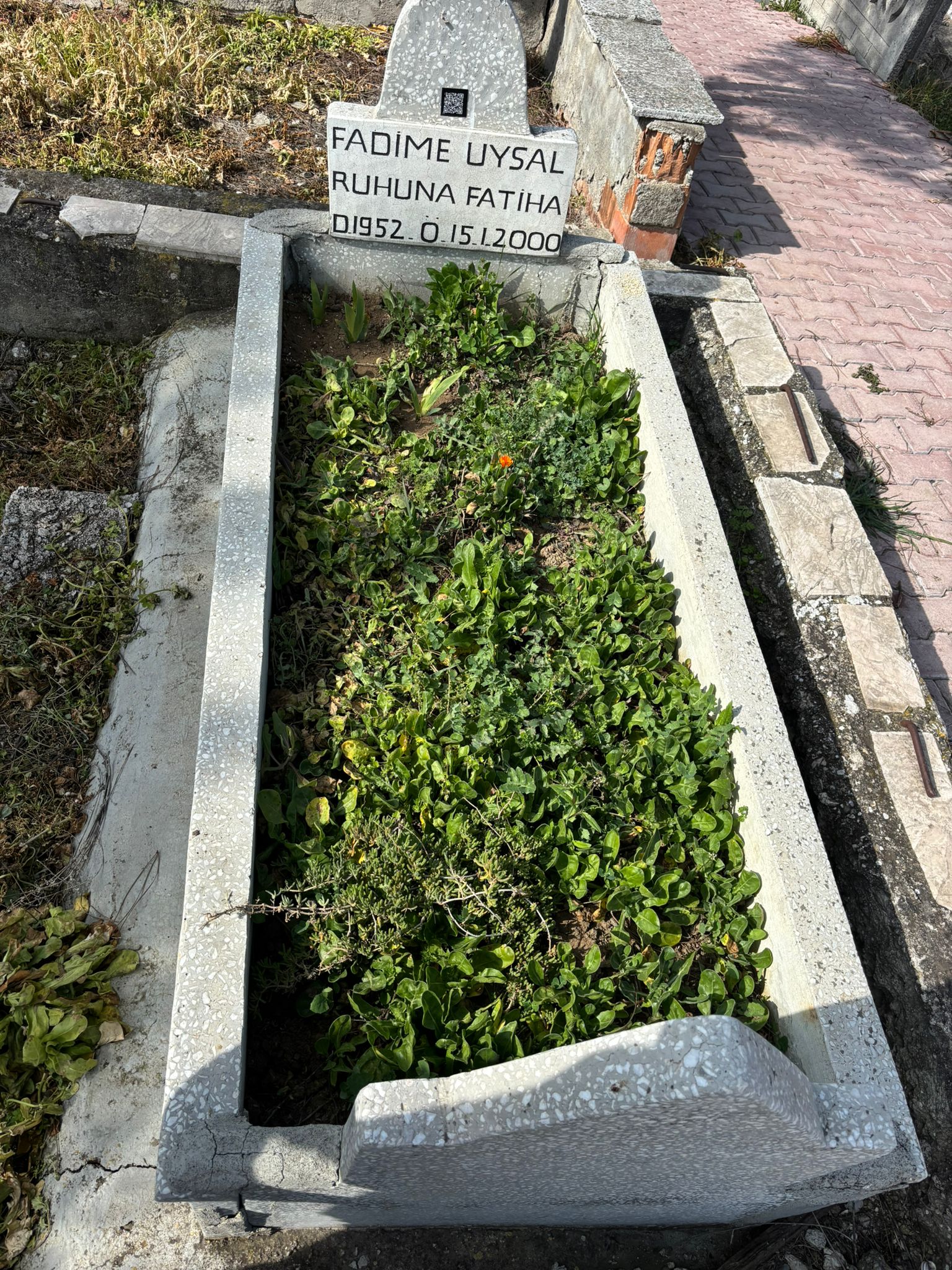 FADİME UYSAL