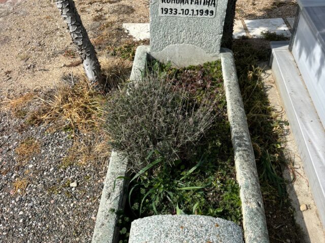 NAZIM ÖVÜNÇ