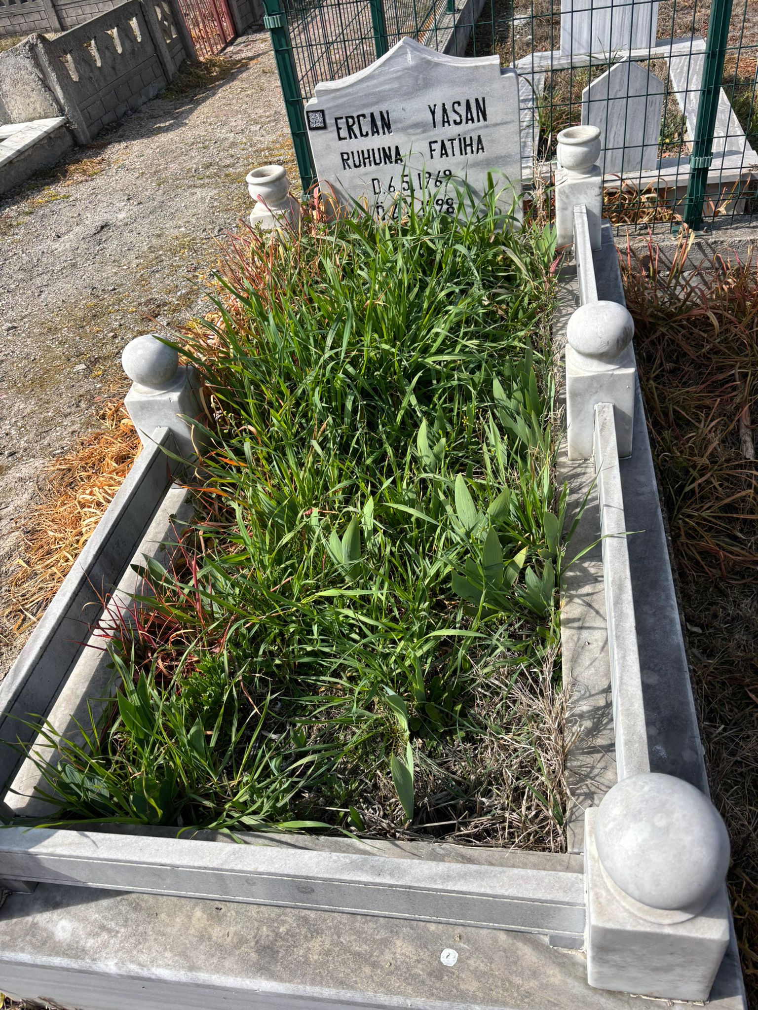ERCAN YASAN