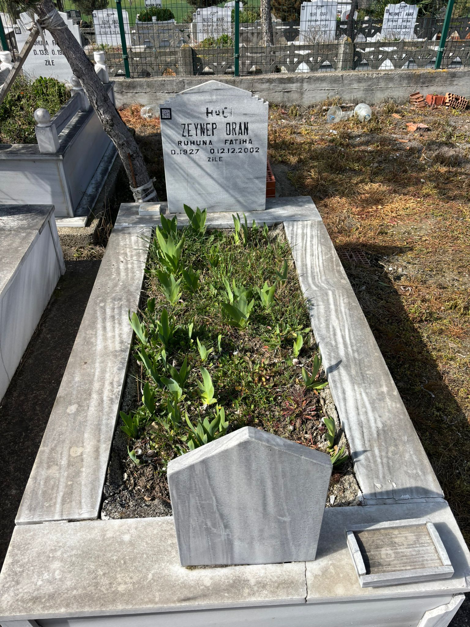 ZEYNEP ORAN