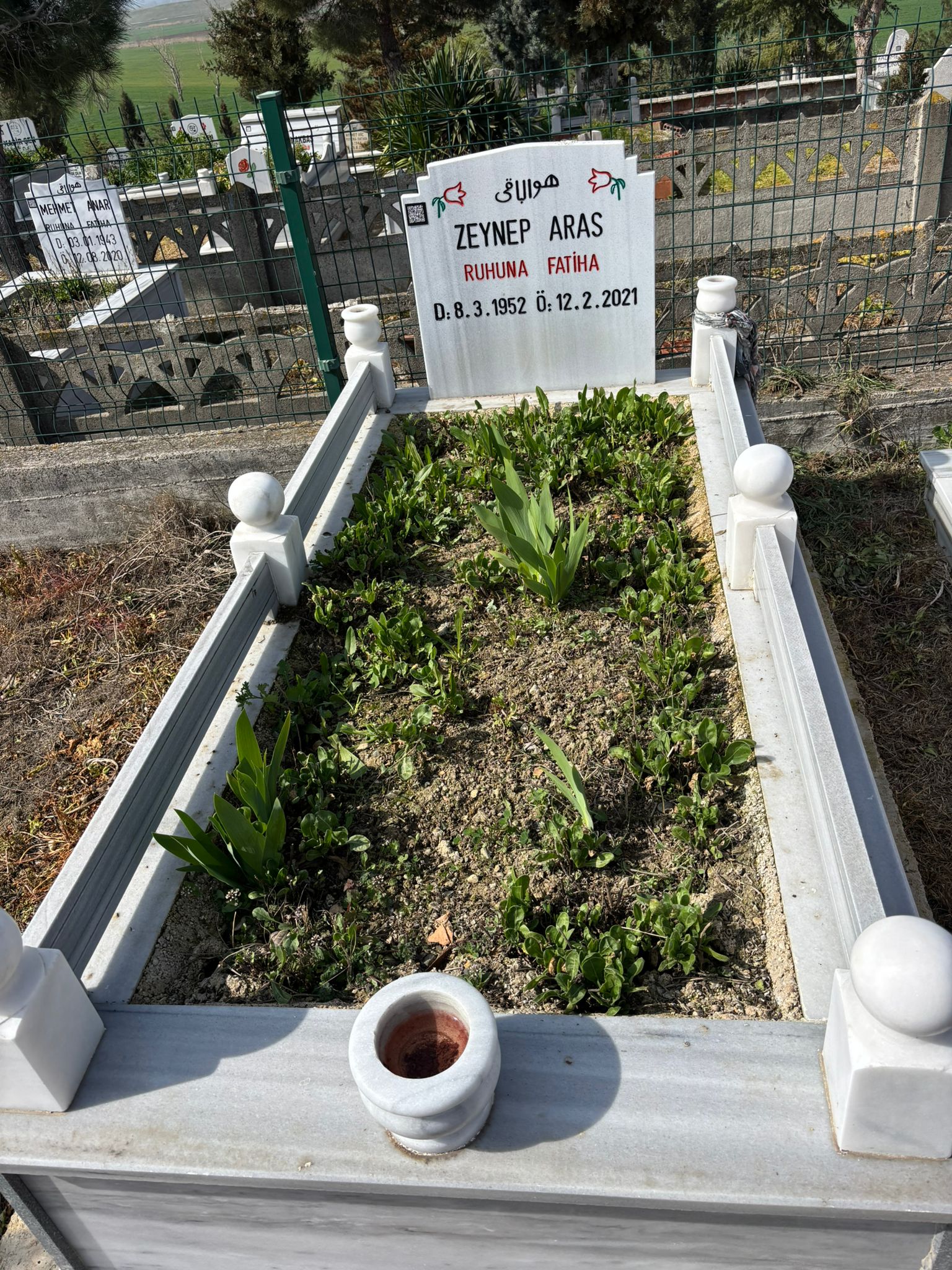 ZEYNEP ARAS