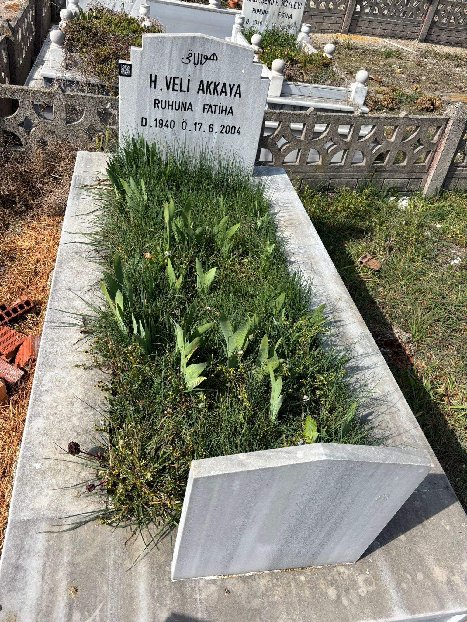VELİ AKKAYA