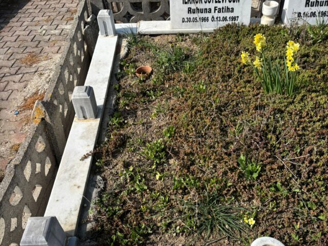 İLKNUR SÖYLEVİ