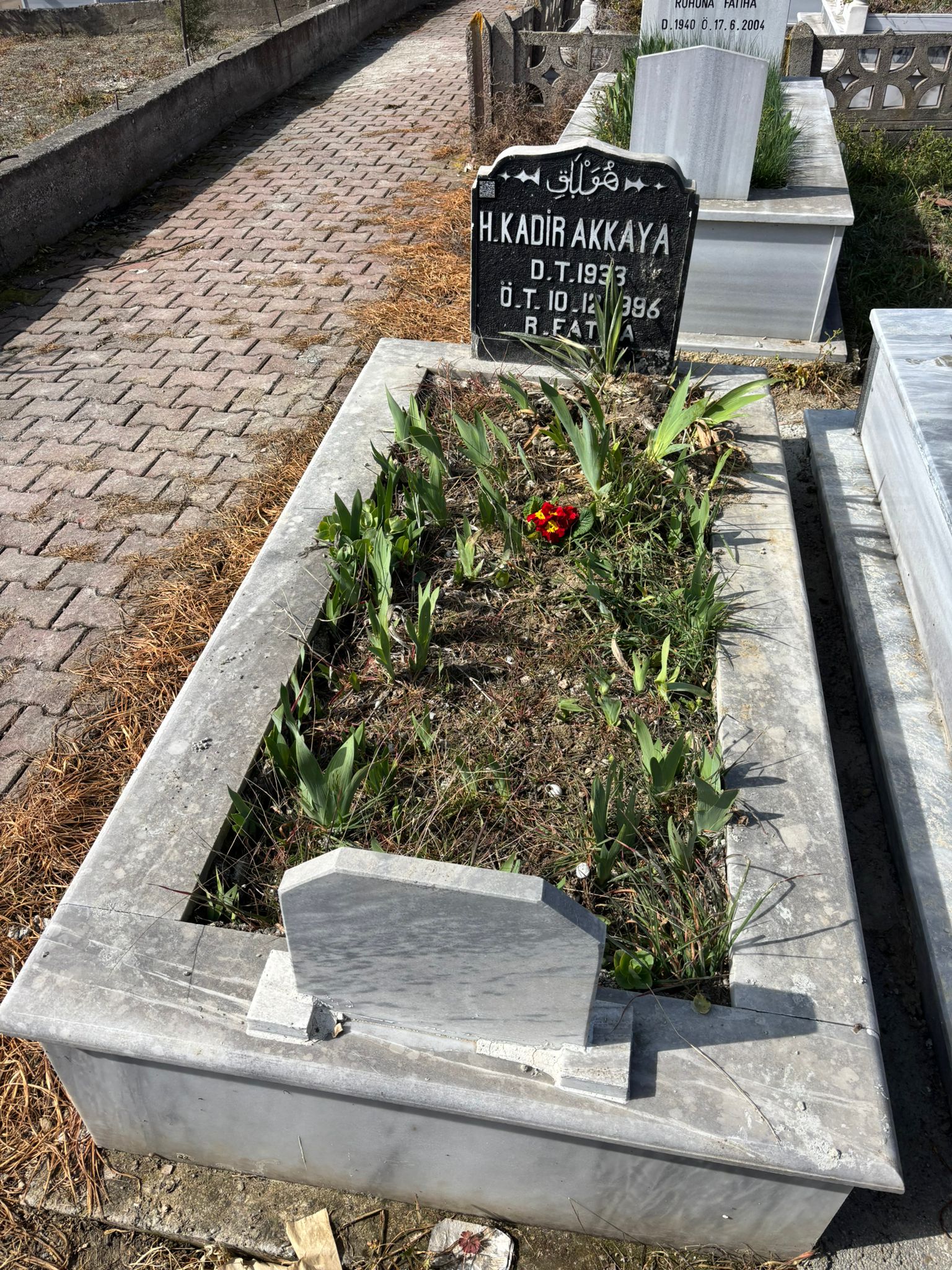 KADİR AKKAYA