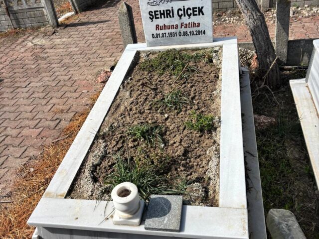 ŞEHRİ ÇİÇEK