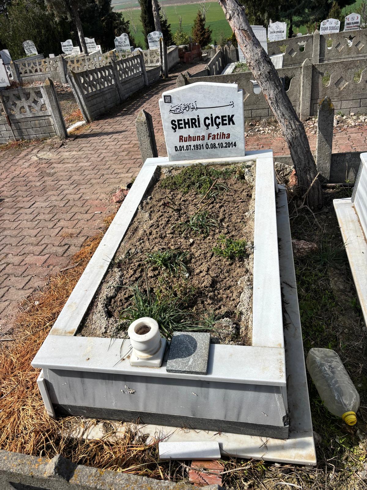 ŞEHRİ ÇİÇEK