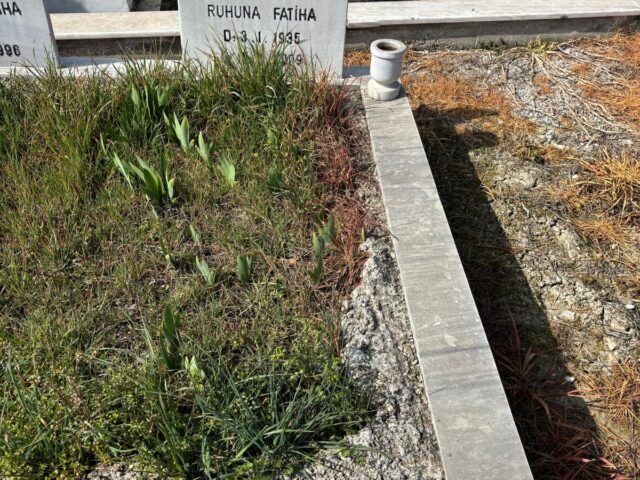 SATİ PARLAKDEMİR