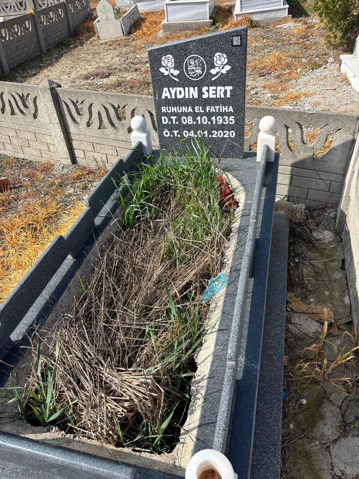 AYDIN SERT