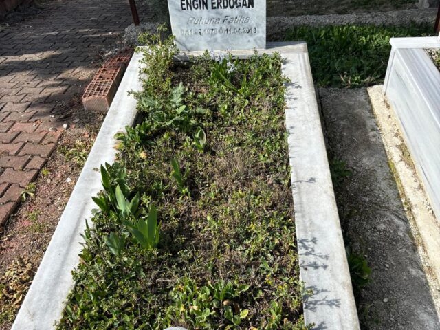 ENGİN ERDOĞAN