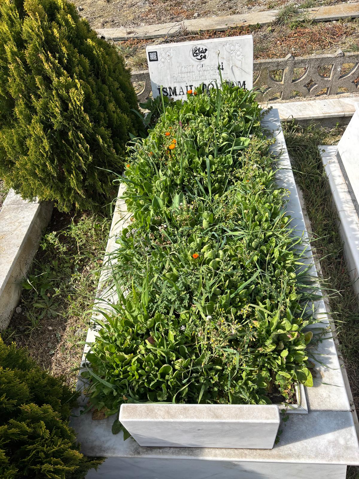İSMAİL TOPÇAM