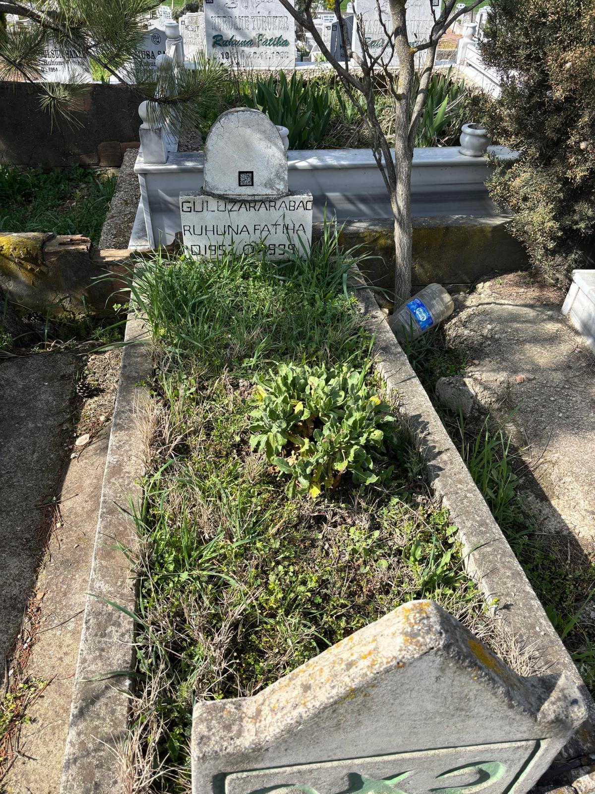 GÜLİZAR ARABACI
