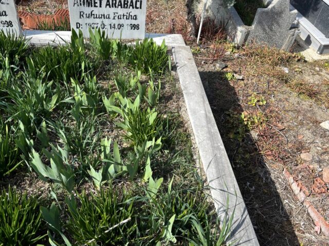 AHMET ARABACI