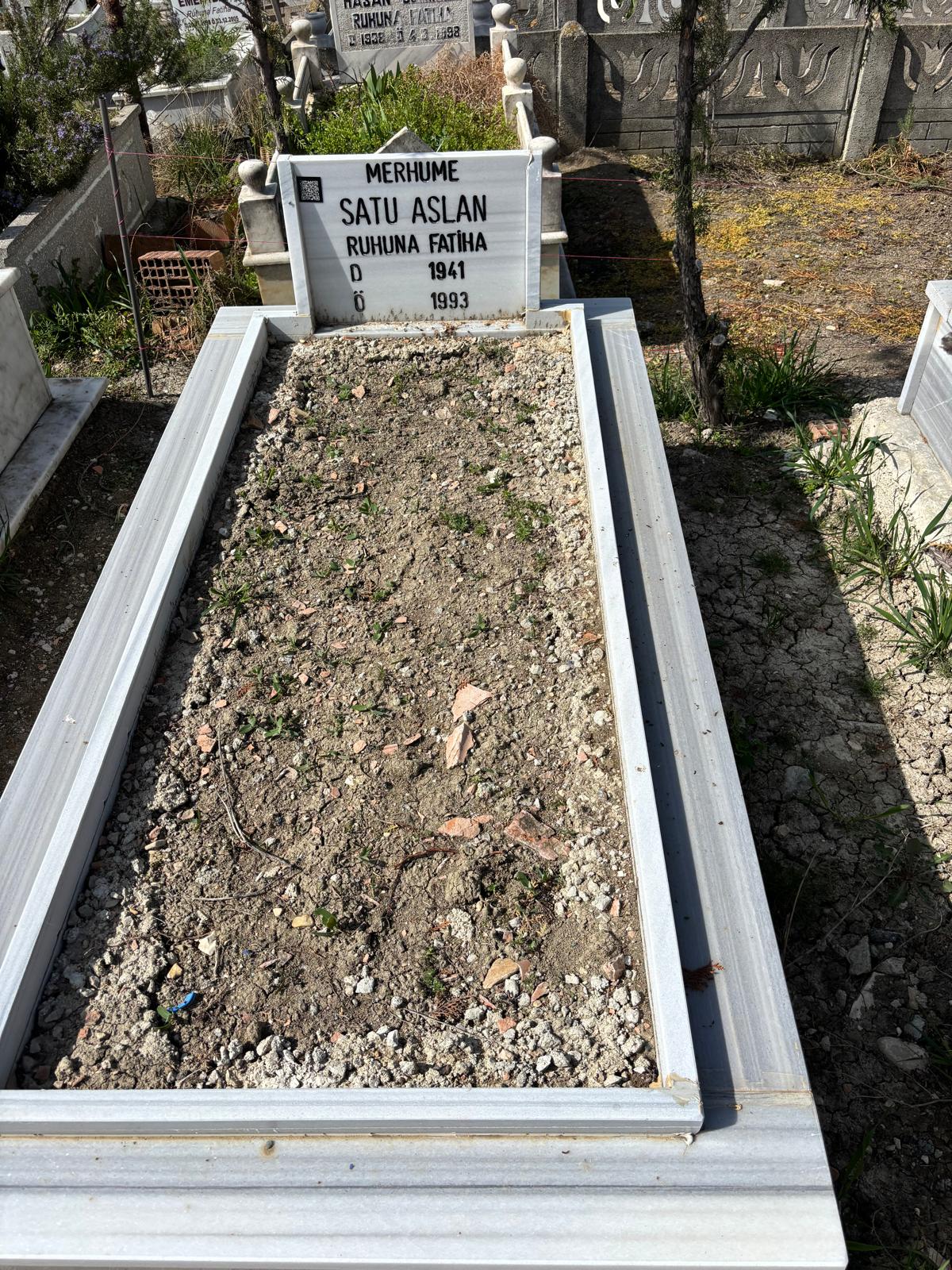 SATU ASLAN
