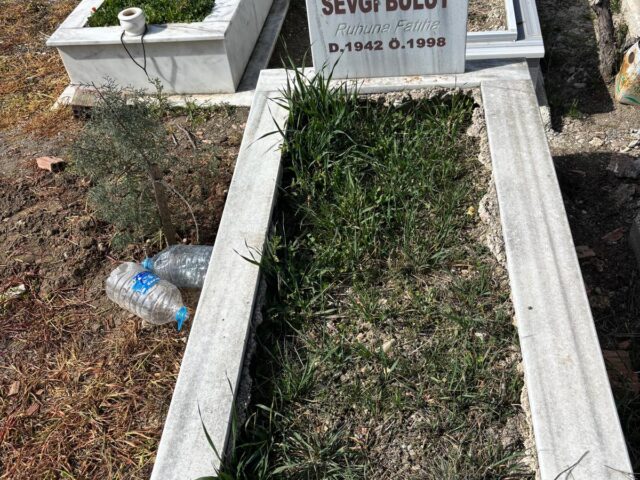 SEVGİ BULUT