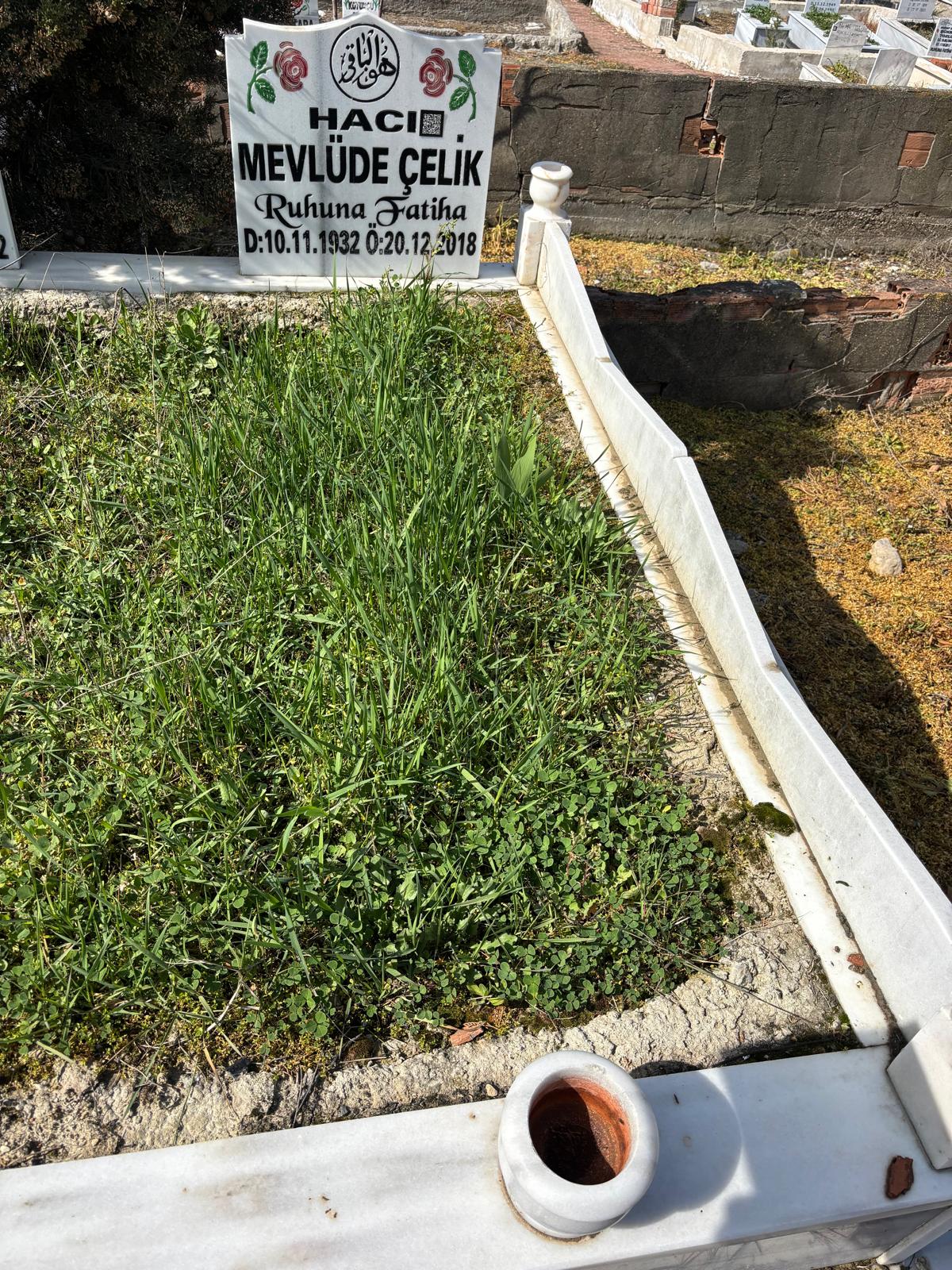 MEVLÜDE ÇELİK