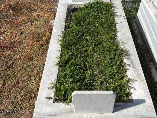DURSUN SANAR