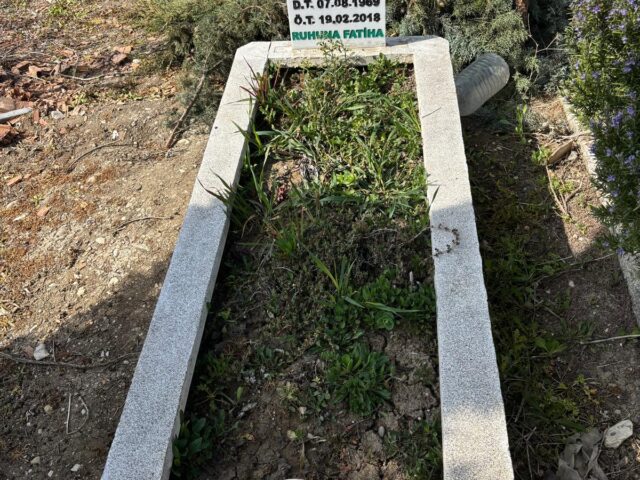 ALİ İBAK