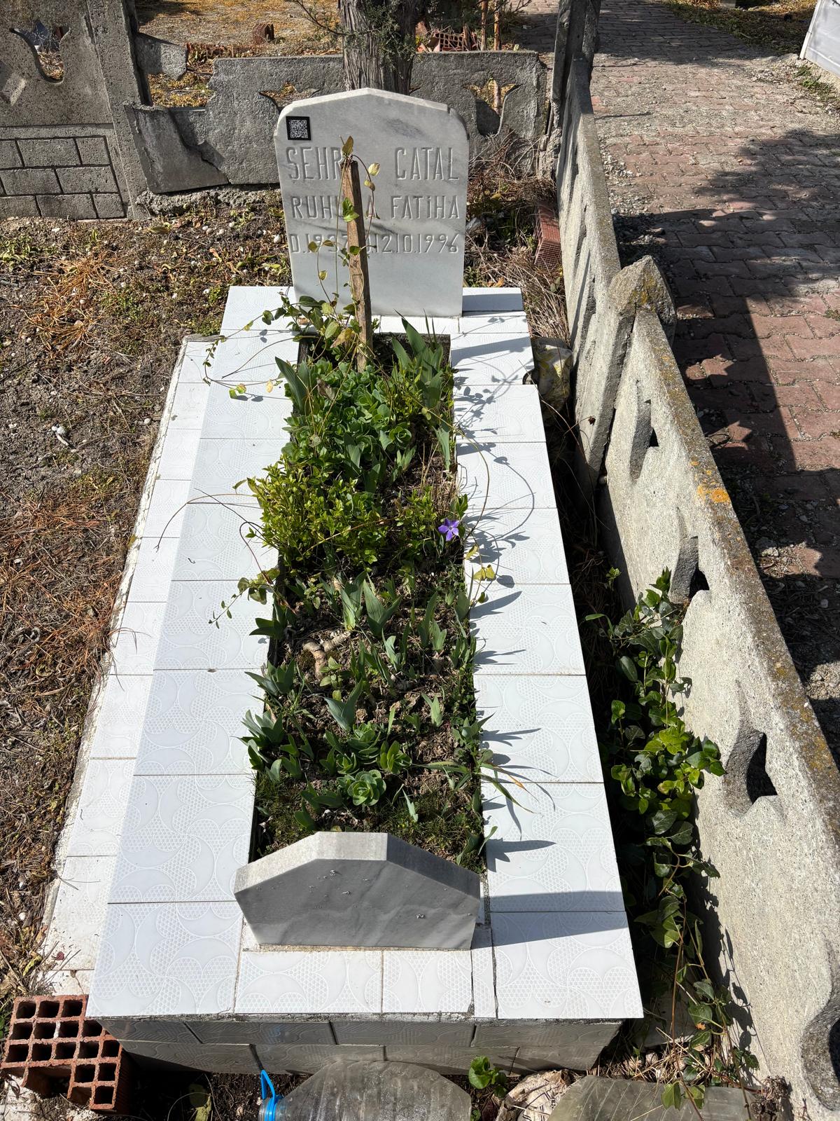 ŞEHRİ ÇATAL