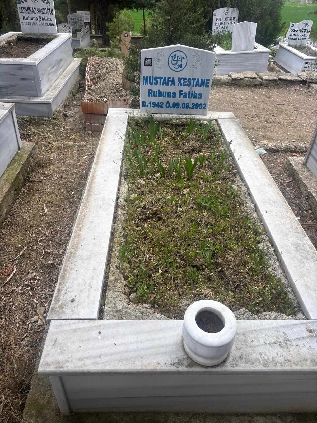 MUSTAFA KESTANE