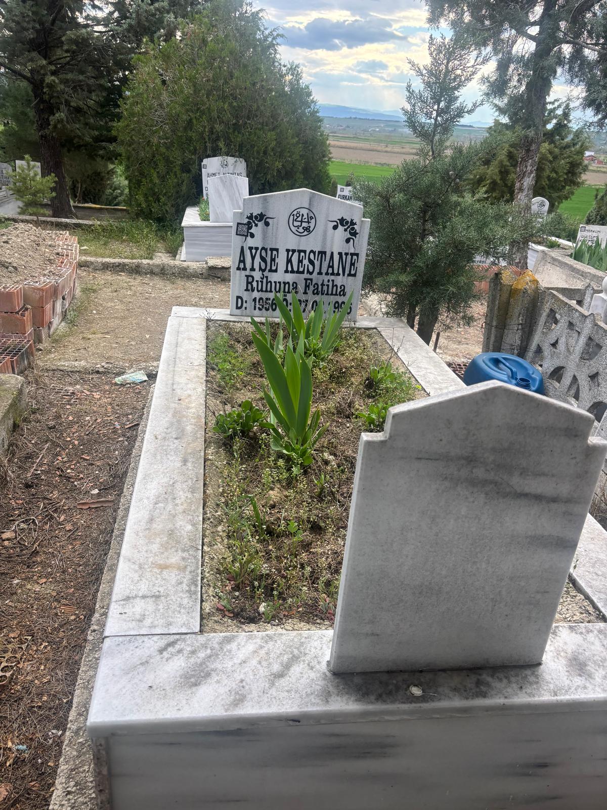 AYŞE KESTANE