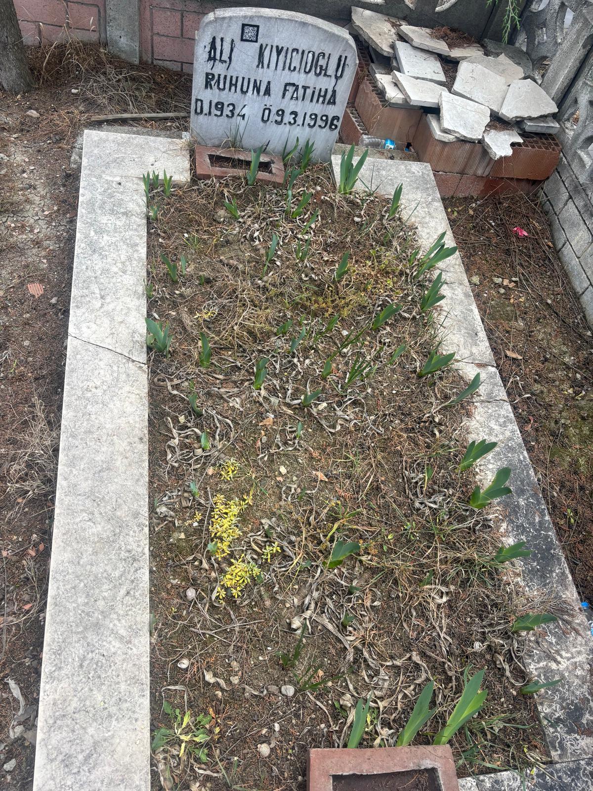 ALİ KIYICIOĞLU