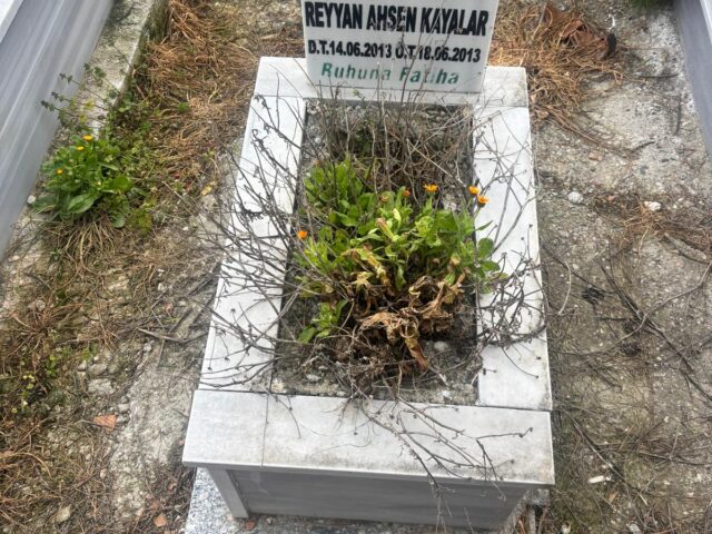 REYYAN AHSEN KAYALAR