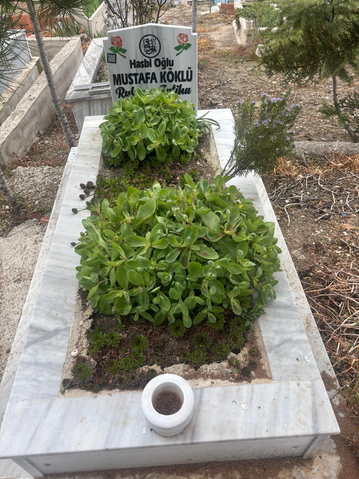 MUSTAFA KÖKLÜ