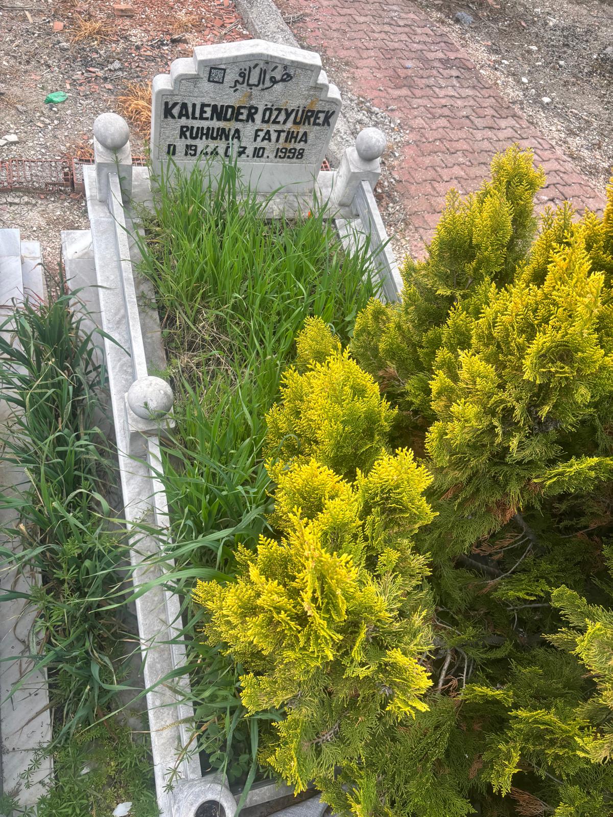 KALENDAR ÖZYÜREK