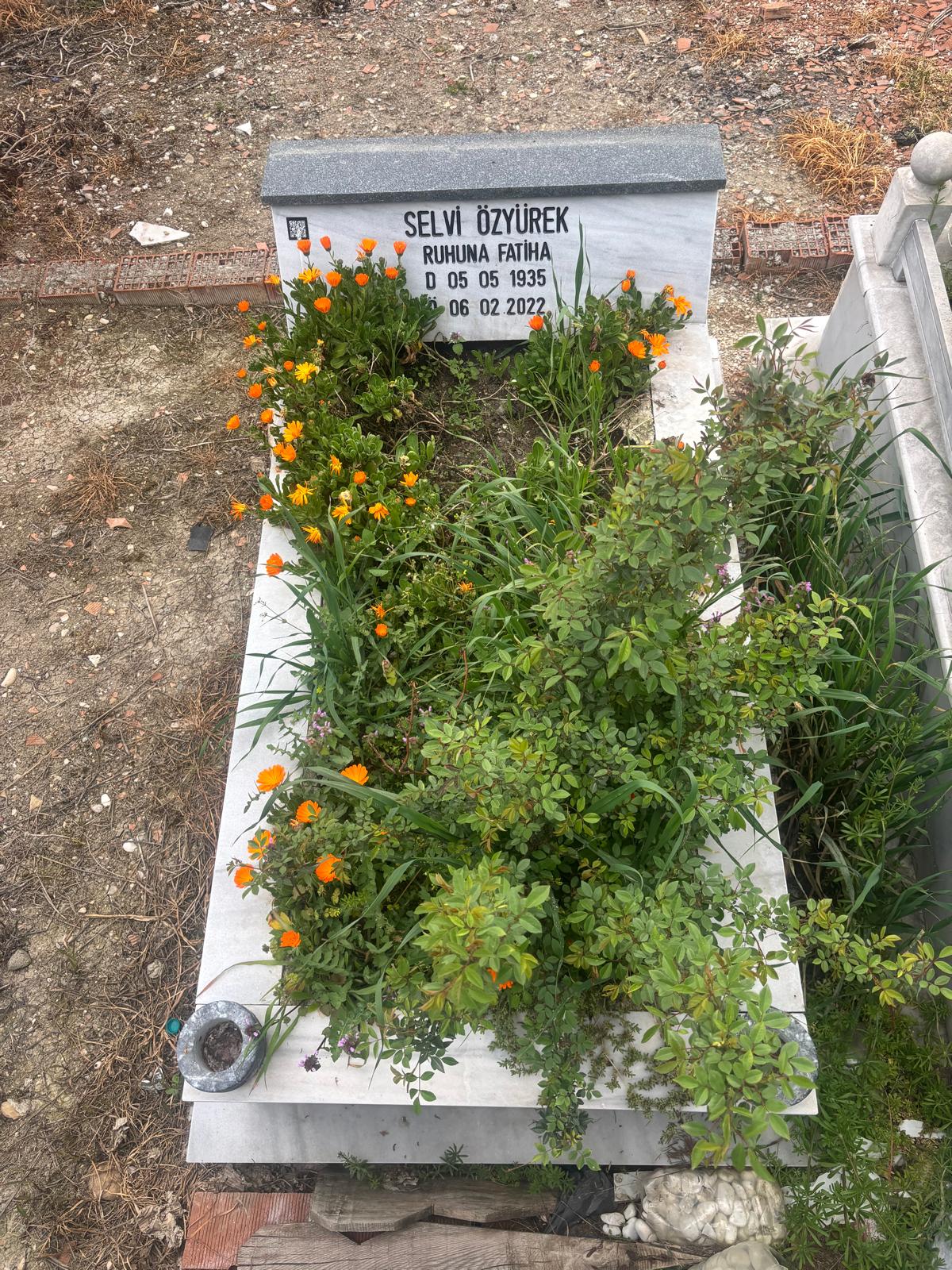 SELVİ ÖZYÜREK