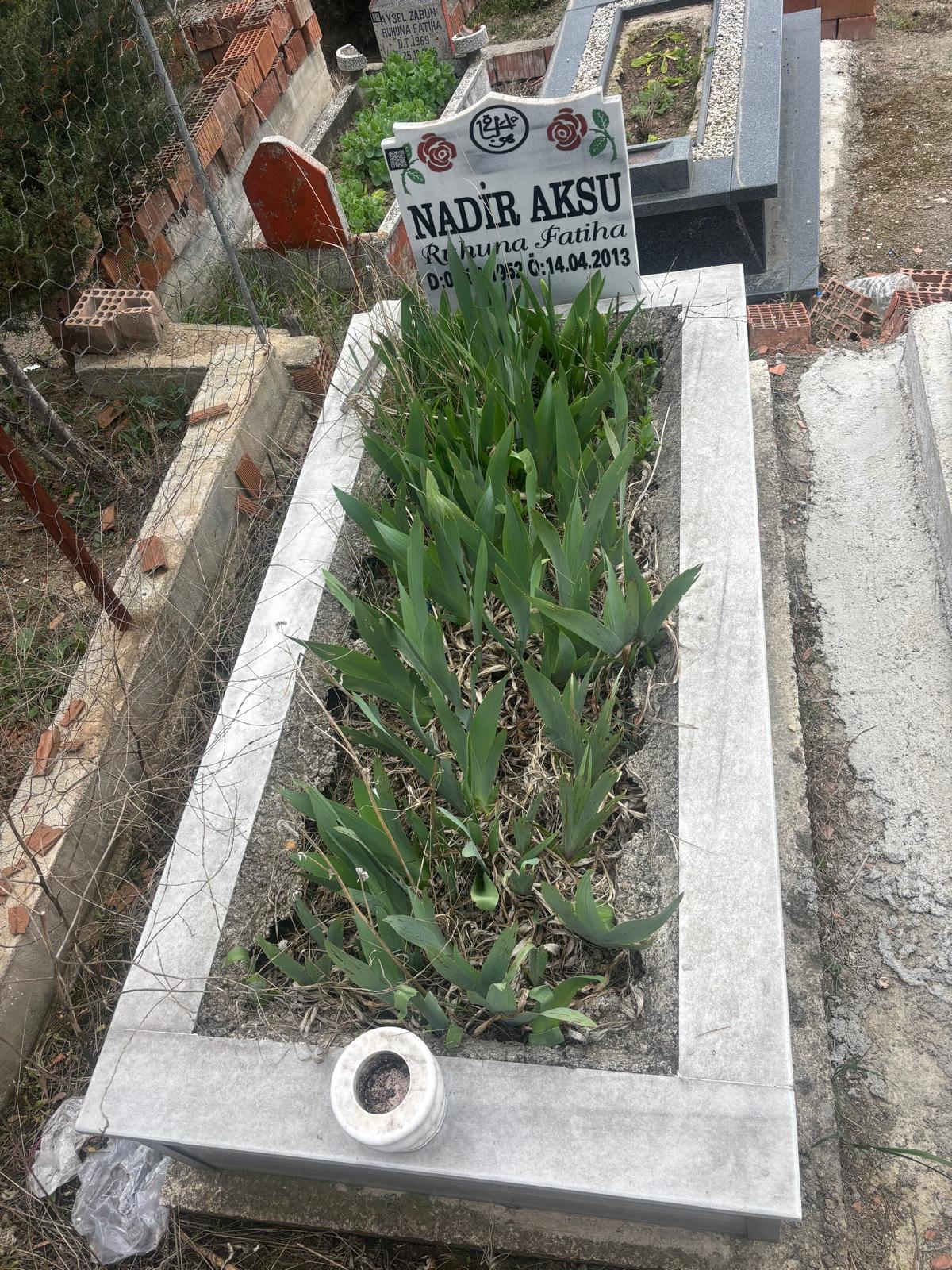 NADİR AKSU