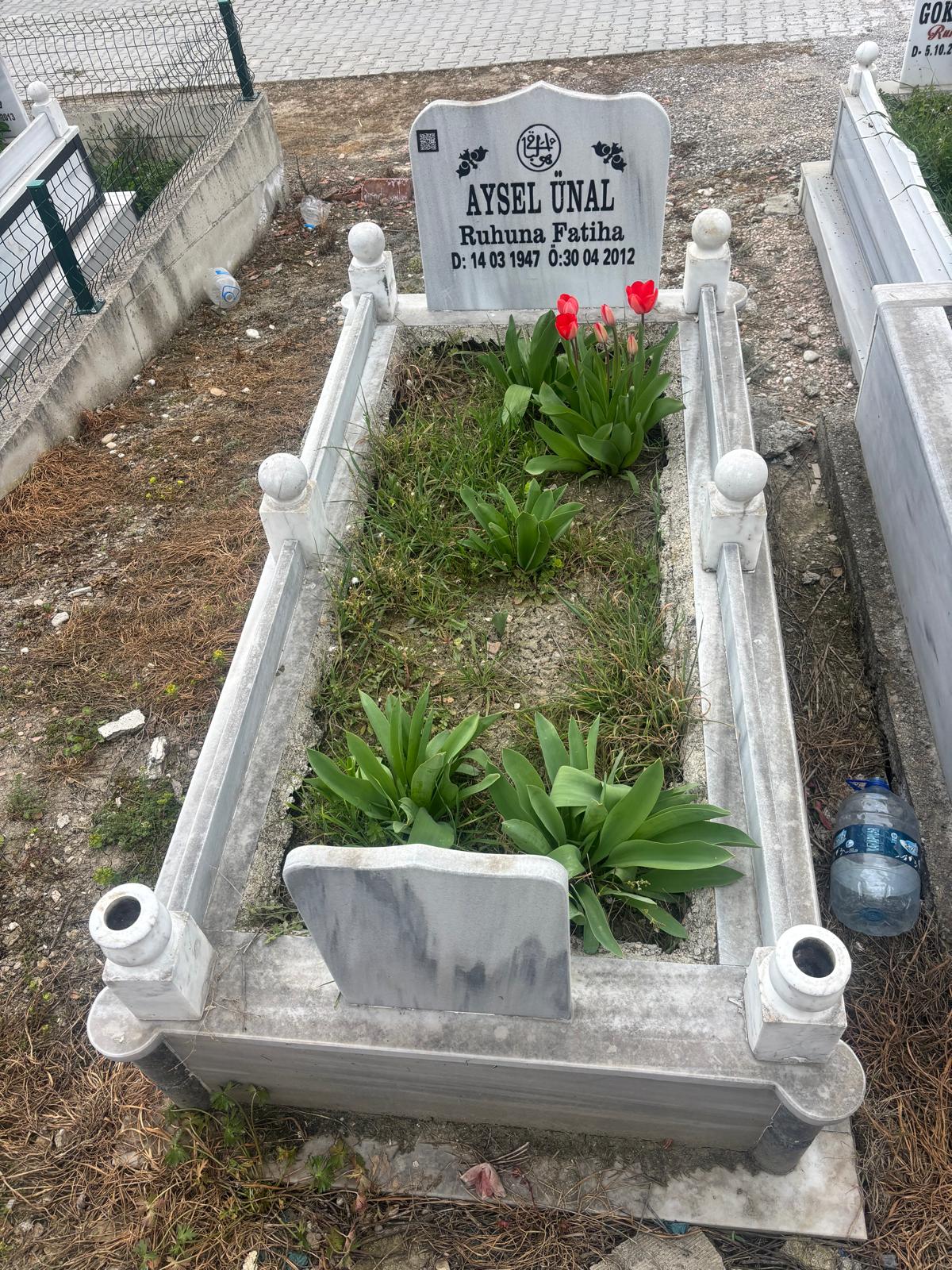 AYSEL ÜNAL