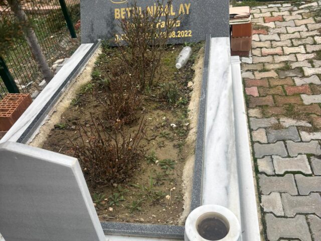 BETÜL NİHAL AY