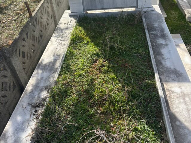 GÖNÜL ALTINANAHTAR